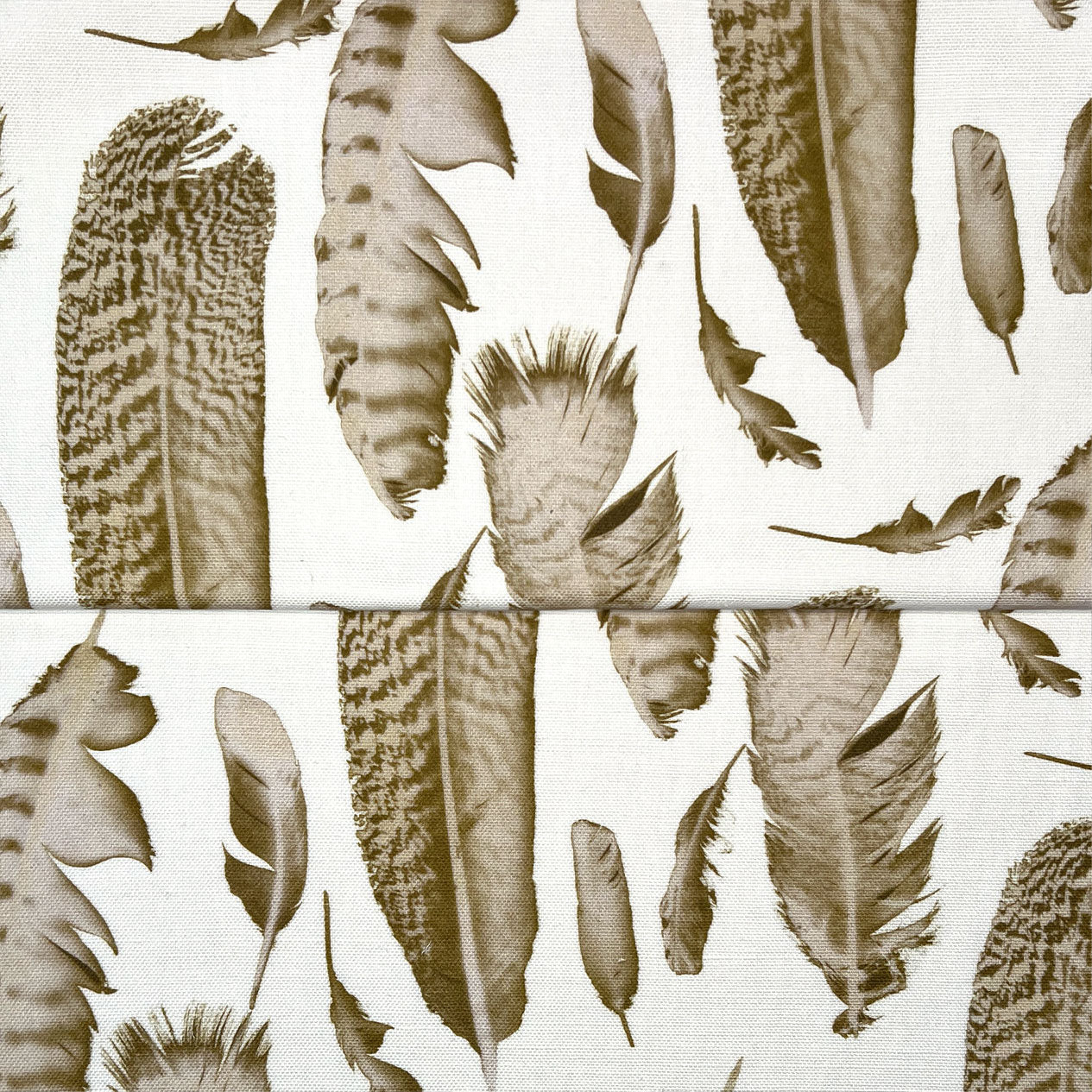 Feathers - Wheat, image size:1265x1265