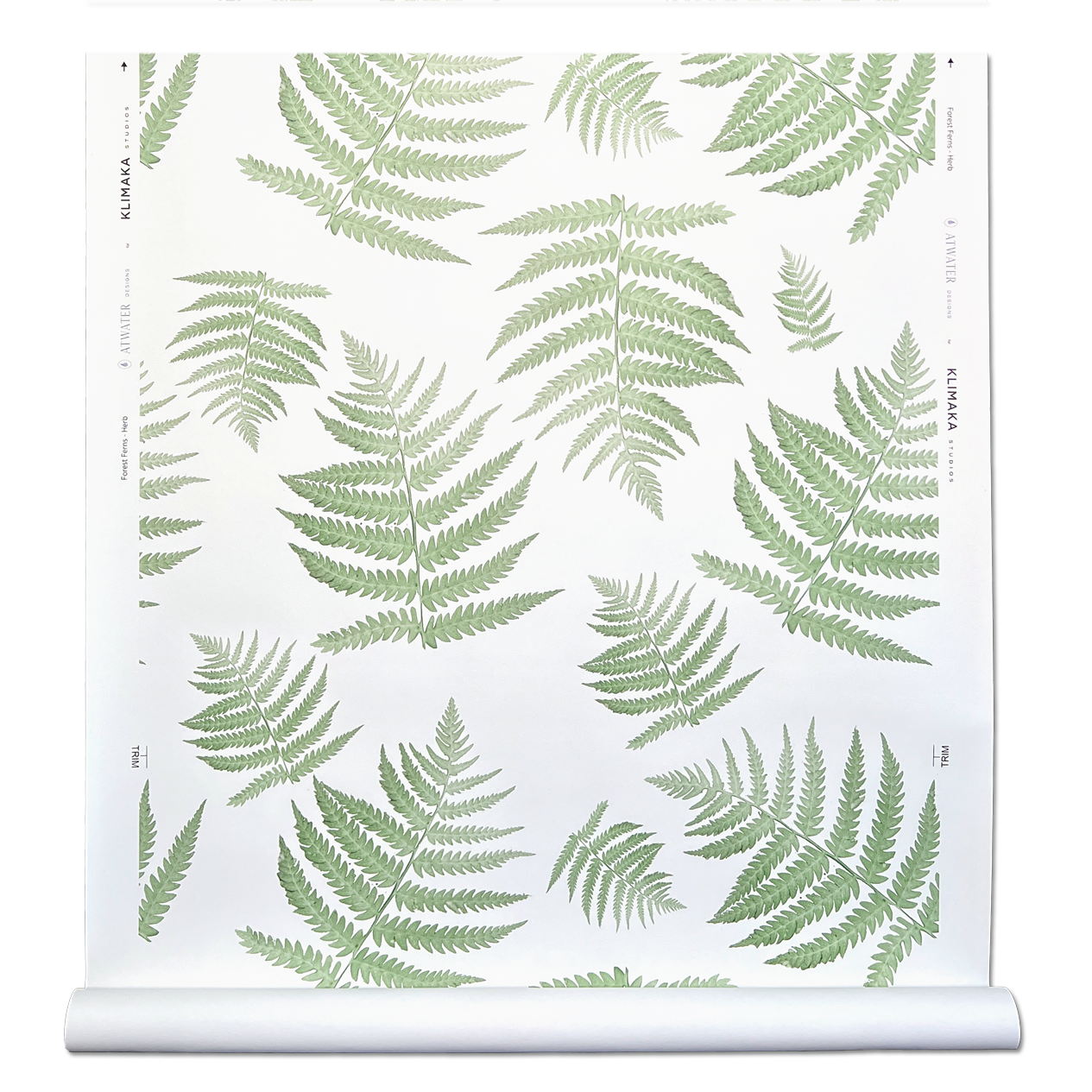 Forest Ferns - Herb Wallpaper