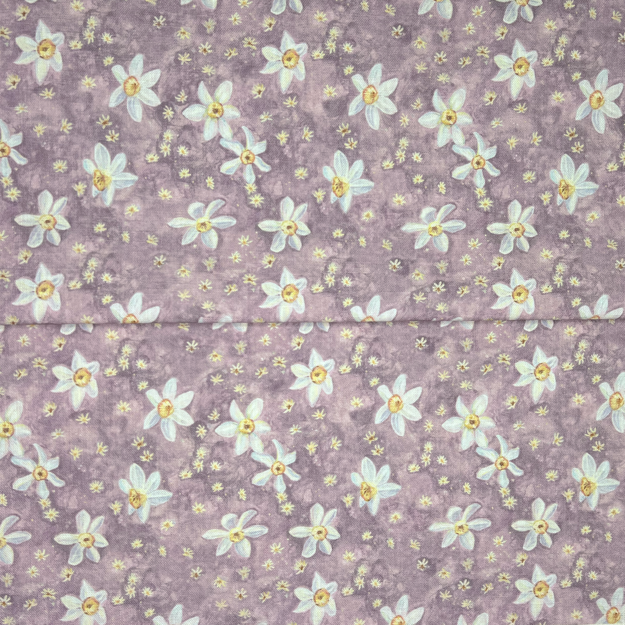 Daffodil Stars - Lavender