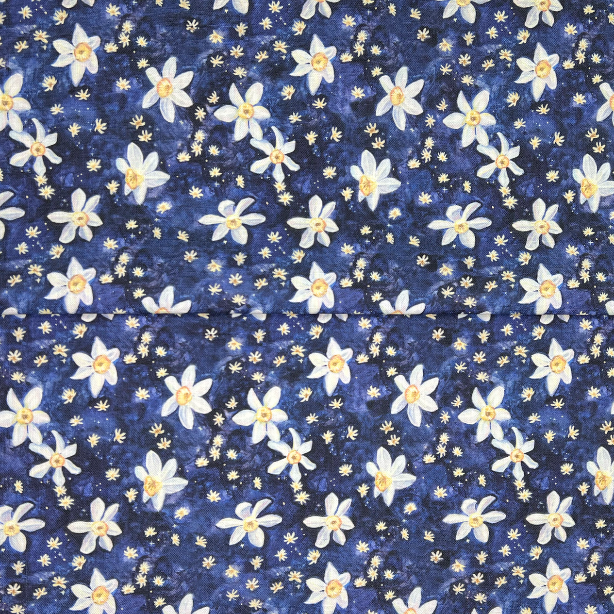 Daffodil Stars - Midnight