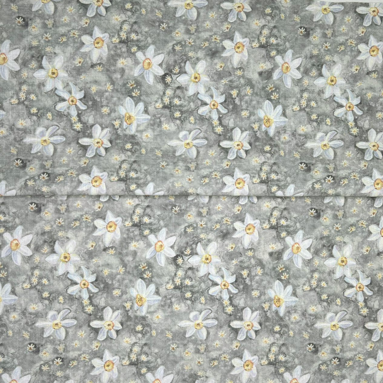 Daffodil Stars - Pebble