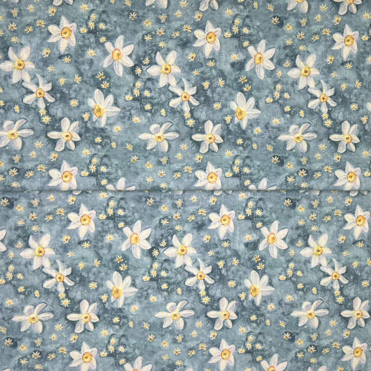 Daffodil Stars - Sky